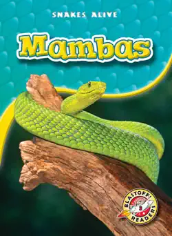 mambas book cover image