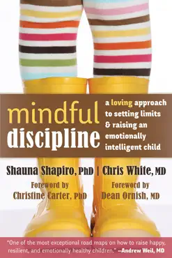 mindful discipline book cover image