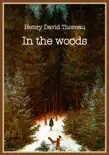 In the Woods synopsis, comments