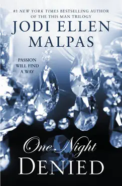 one night: denied book cover image