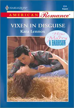 vixen in disguise book cover image