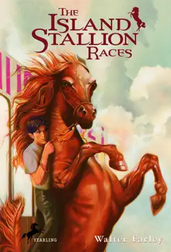 the island stallion races book cover image