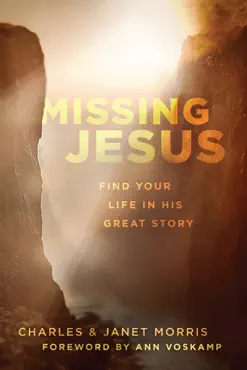 missing jesus book cover image