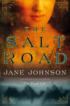 the salt road book cover image