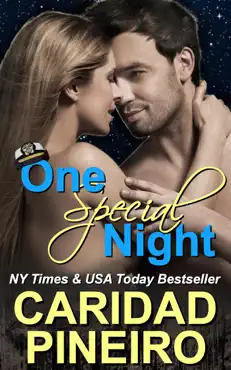 one special night book cover image