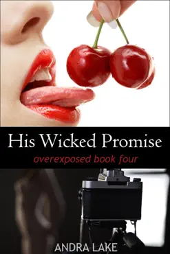 his wicked promise book cover image