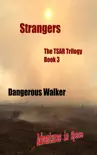 Strangers synopsis, comments