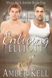 Enticing Elliott synopsis, comments