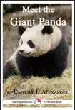 Meet the Giant Panda: A 15-Minute Book sinopsis y comentarios