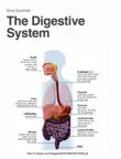 The Digestive System synopsis, comments