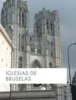 Iglesias de Bruselas sinopsis y comentarios