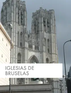 iglesias de bruselas book cover image