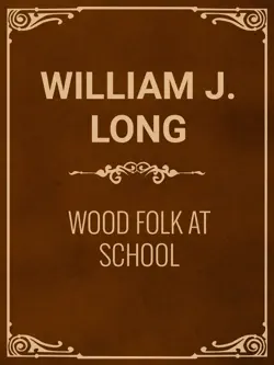 wood folk at school imagen de la portada del libro