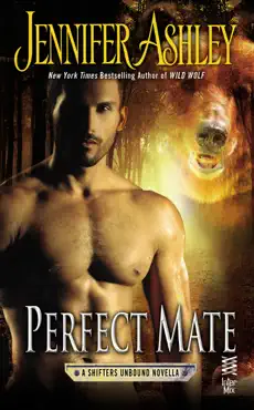 perfect mate book cover image