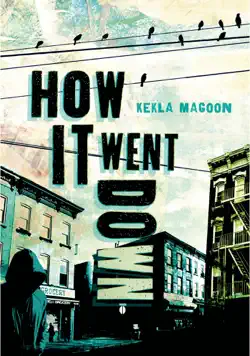 how it went down book cover image