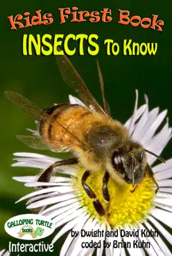 kids first book - insects to know book cover image