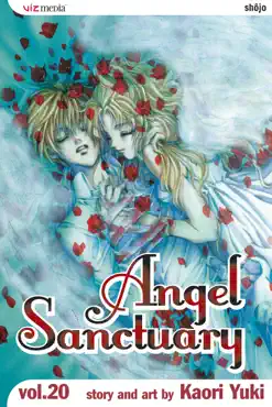 angel sanctuary, vol. 20 book cover image