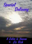 Special Delivery synopsis, comments