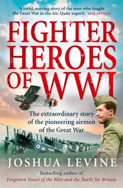 fighter heroes of wwi book cover image