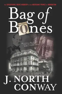 bag of bones book cover image