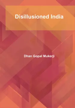 disillusioned india imagen de la portada del libro