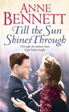 till the sun shines through book cover image