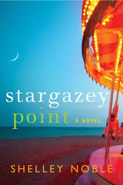stargazey point book cover image