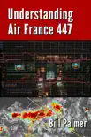 Understanding Air France 447 sinopsis y comentarios