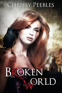 broken world book cover image