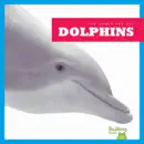 Dolphins reviews
