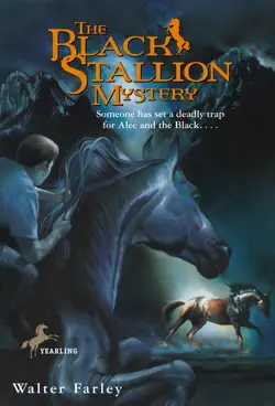 the black stallion mystery book cover image