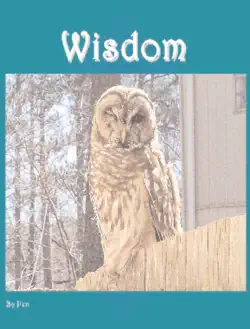 wisdom book cover image