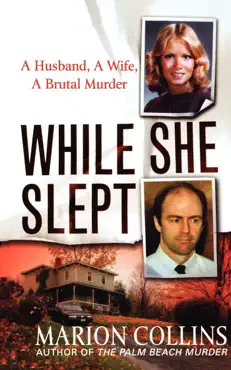while she slept book cover image