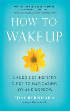 how to wake up book cover image