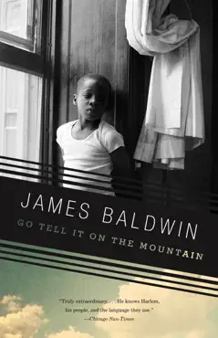 go tell it on the mountain book cover image