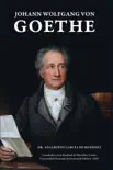Johann Wolfgang Von Goethe sinopsis y comentarios