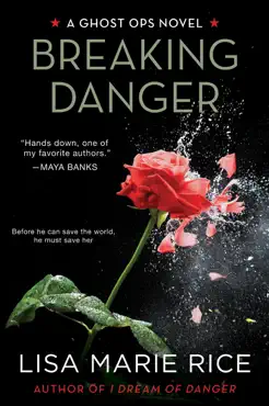 breaking danger book cover image