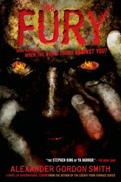 the fury book cover image