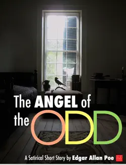 the angel of the odd book cover image