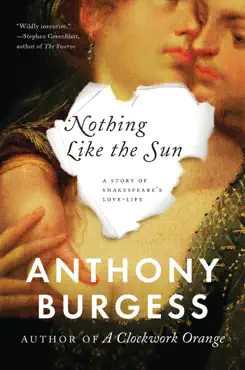 nothing like the sun book cover image