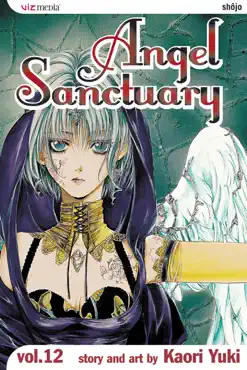 angel sanctuary, vol. 12 book cover image