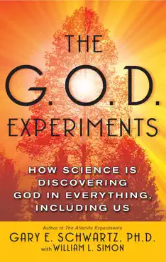 the g.o.d. experiments book cover image