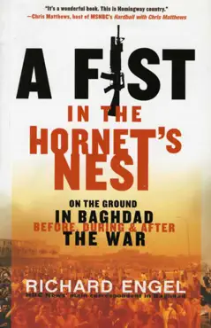 a fist in the hornet's nest book cover image