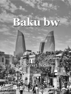 baku bw book cover image