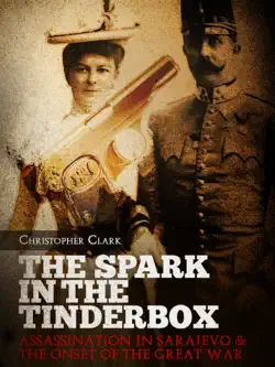 the spark in the tinderbox book cover image