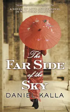 the far side of the sky book cover image