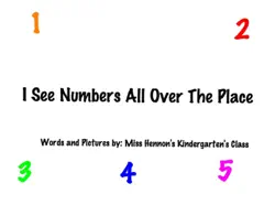 i see numbers all over the place book cover image
