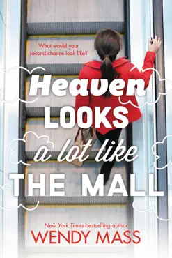heaven looks a lot like the mall book cover image