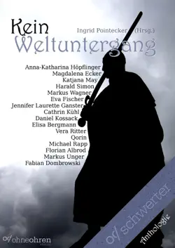 kein weltuntergang book cover image