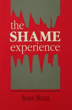 the shame experience book cover image